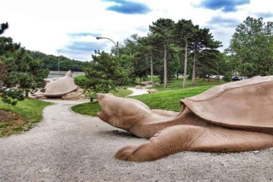 At Turtle Playground, kids of all ages can climb on the giant concrete reptiles.